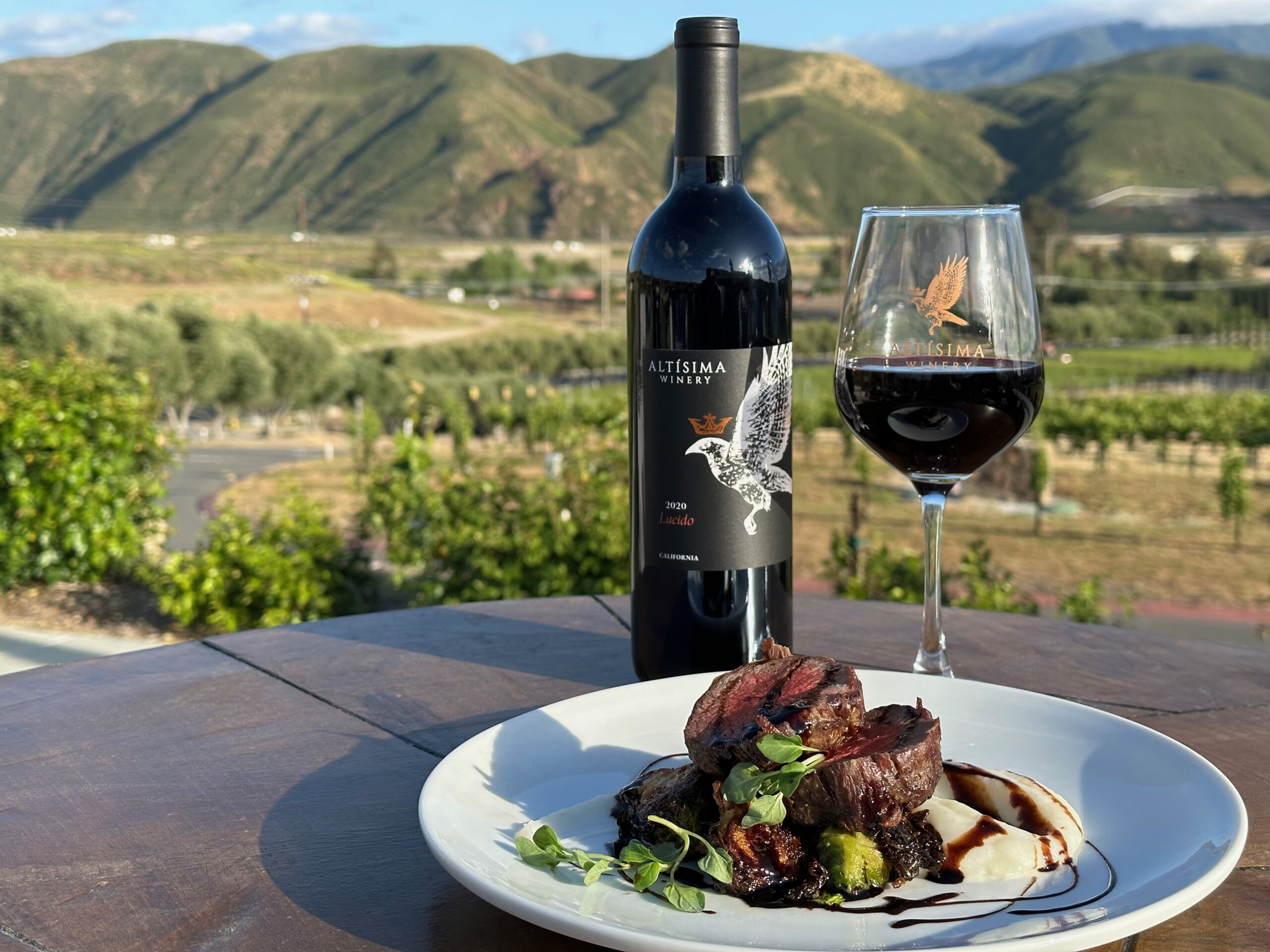 A plate of grilled steak served with vegetables and a dollop of puree, alongside a glass of red wine and a bottle labeled Altissima. The background features a scenic mountainous landscape.
